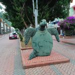 Фотографии Турции — фото 50