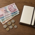 Сколько денег брать в Турцию